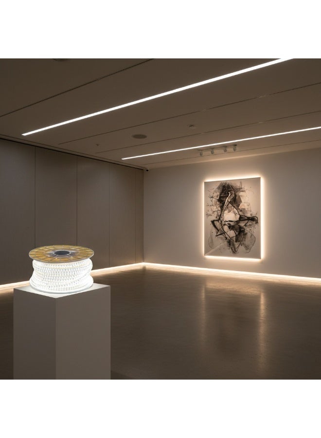 NOVEX SMD LED Rope Light 50M – Warm White 3000K Professional Decorative & Architectural Lighting Solution - Image 4